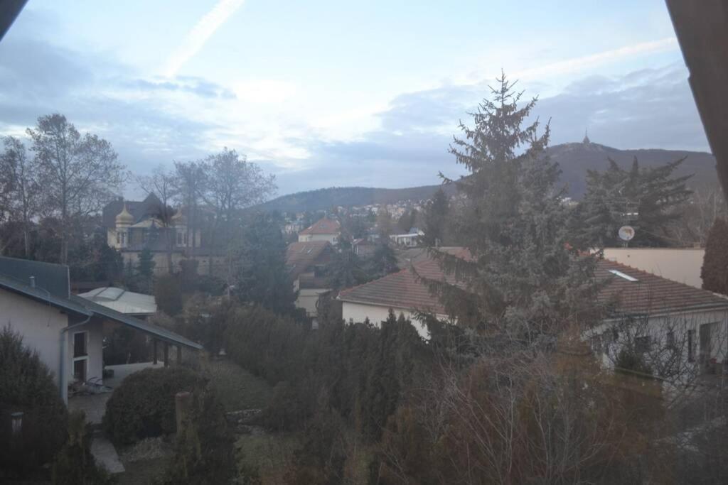 Appartement In Nitra Under The Zobor-Hill エクステリア 写真